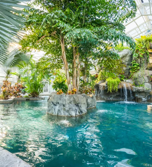 Biosphere pool complex