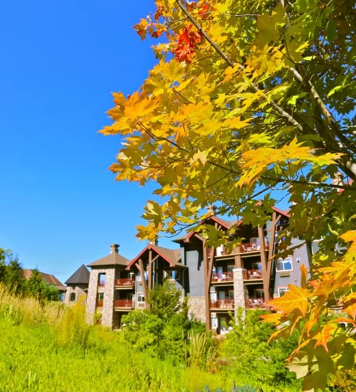 Daytime Fall at Grand Cascades Lodge