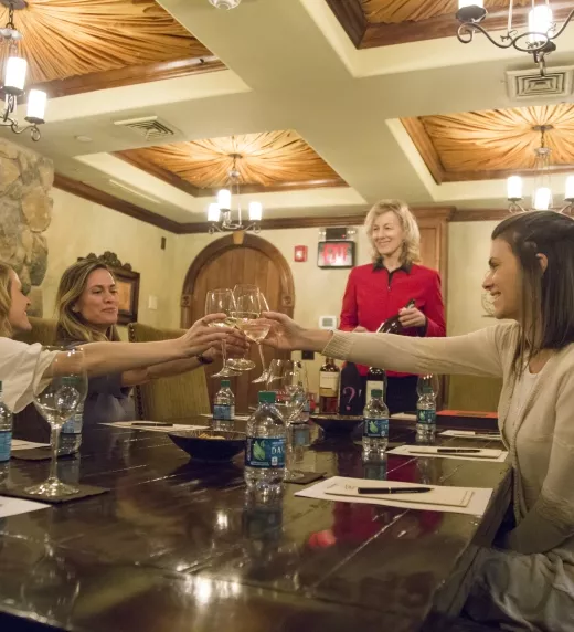 Group of women cheersing wine glasses.