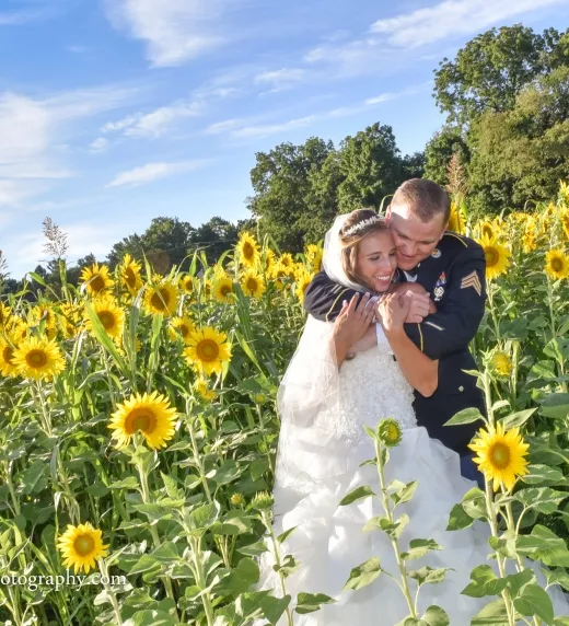 Bride and groom in the sunflower fields