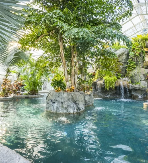 Indoor Biosphere Pool