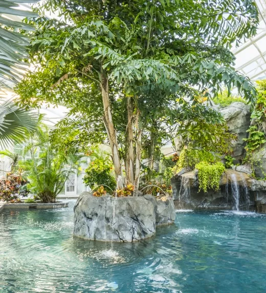 Indoor Biosphere Pool