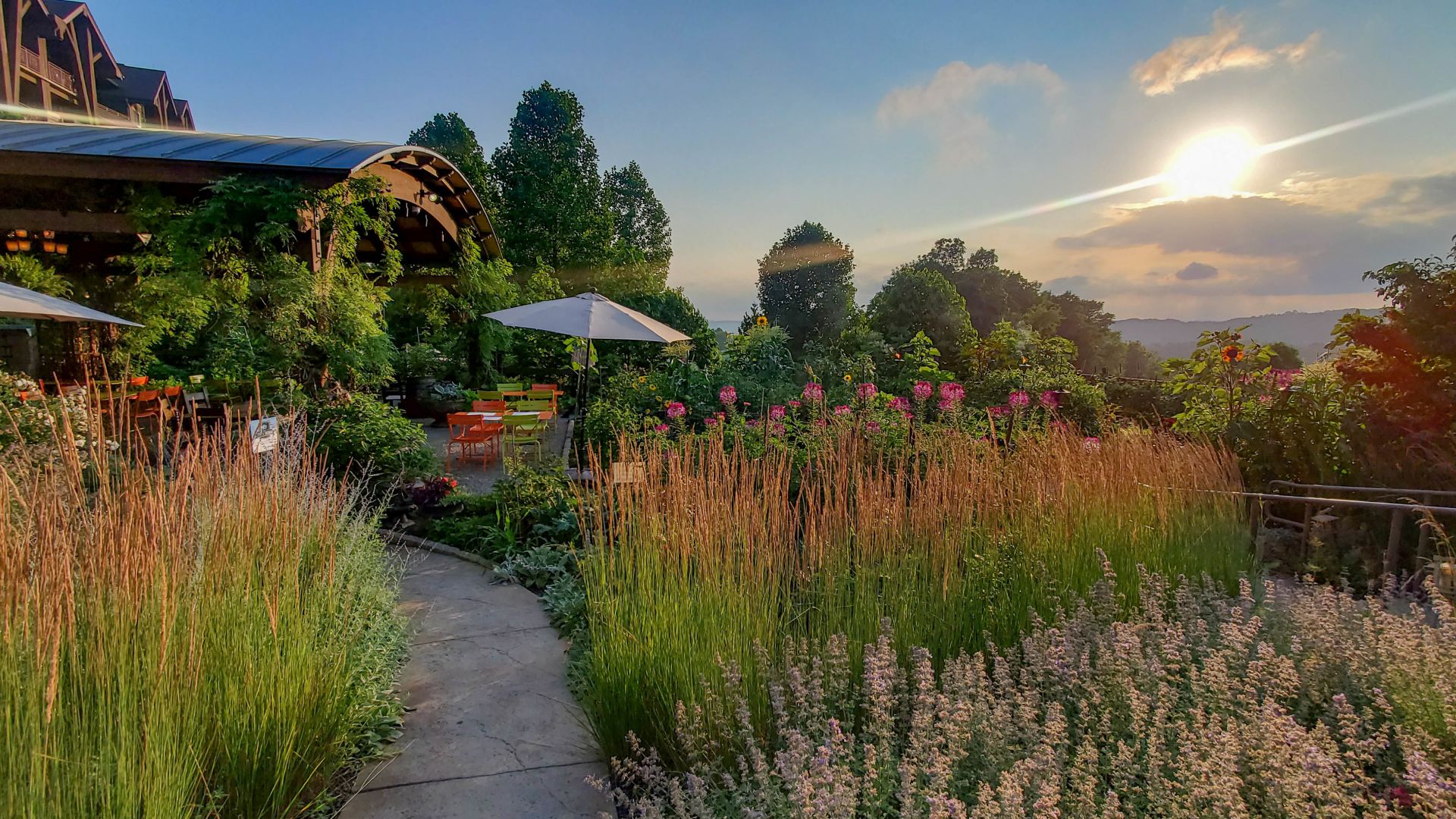 Beautiful View of the Chef's Garden