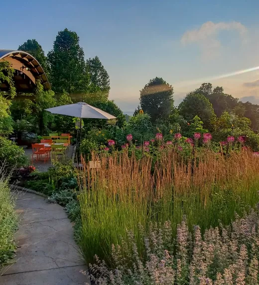 Beautiful View of the Chef's Garden