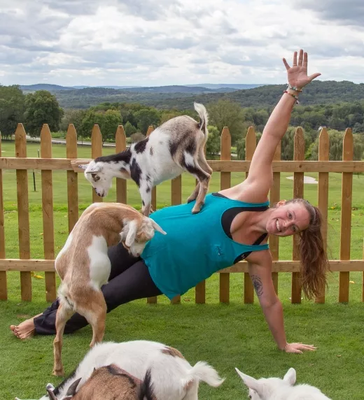 Woman doing yoga pose with goats on her.