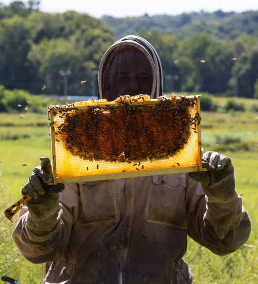 Bee keeper holding bee hive.