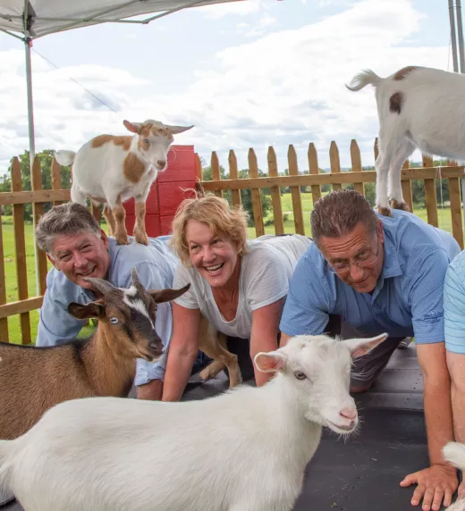 Group of adults participating in goat yoga at Crystal Springs Resort