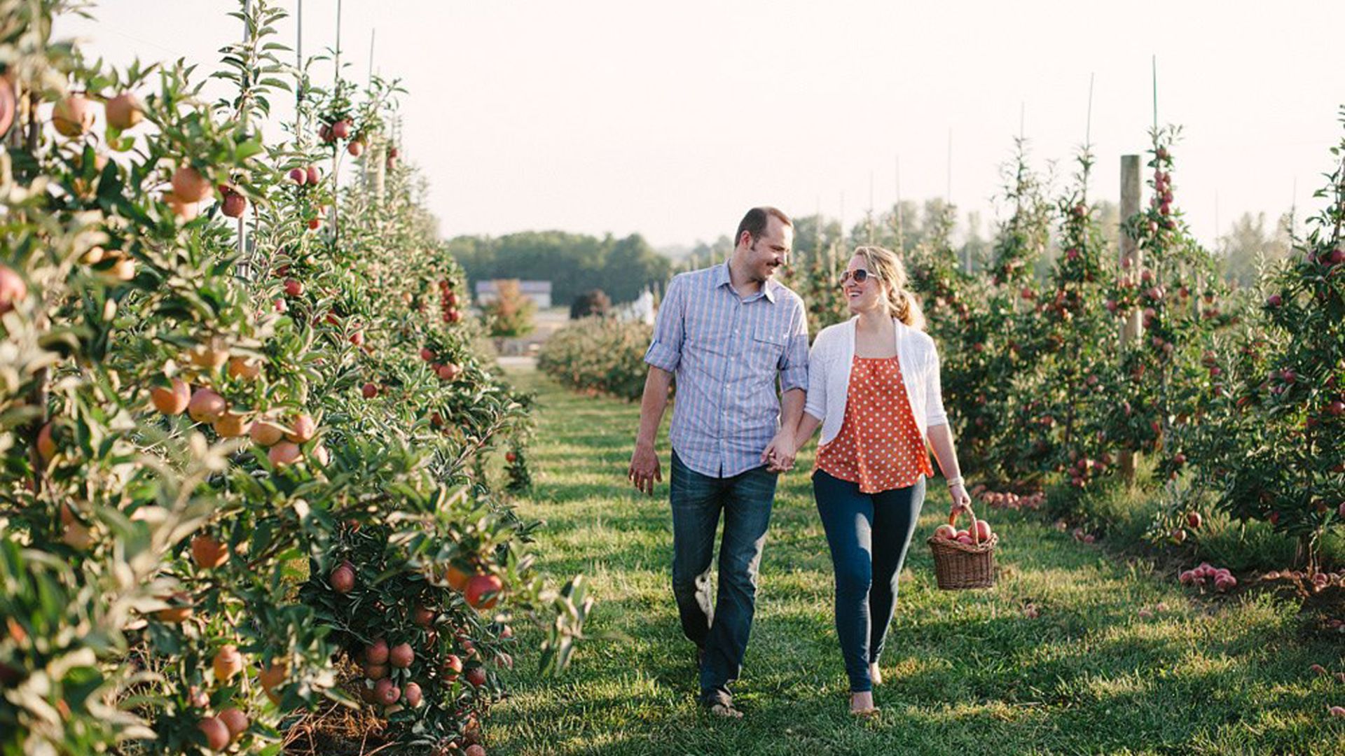 Couple walking through apple orchard