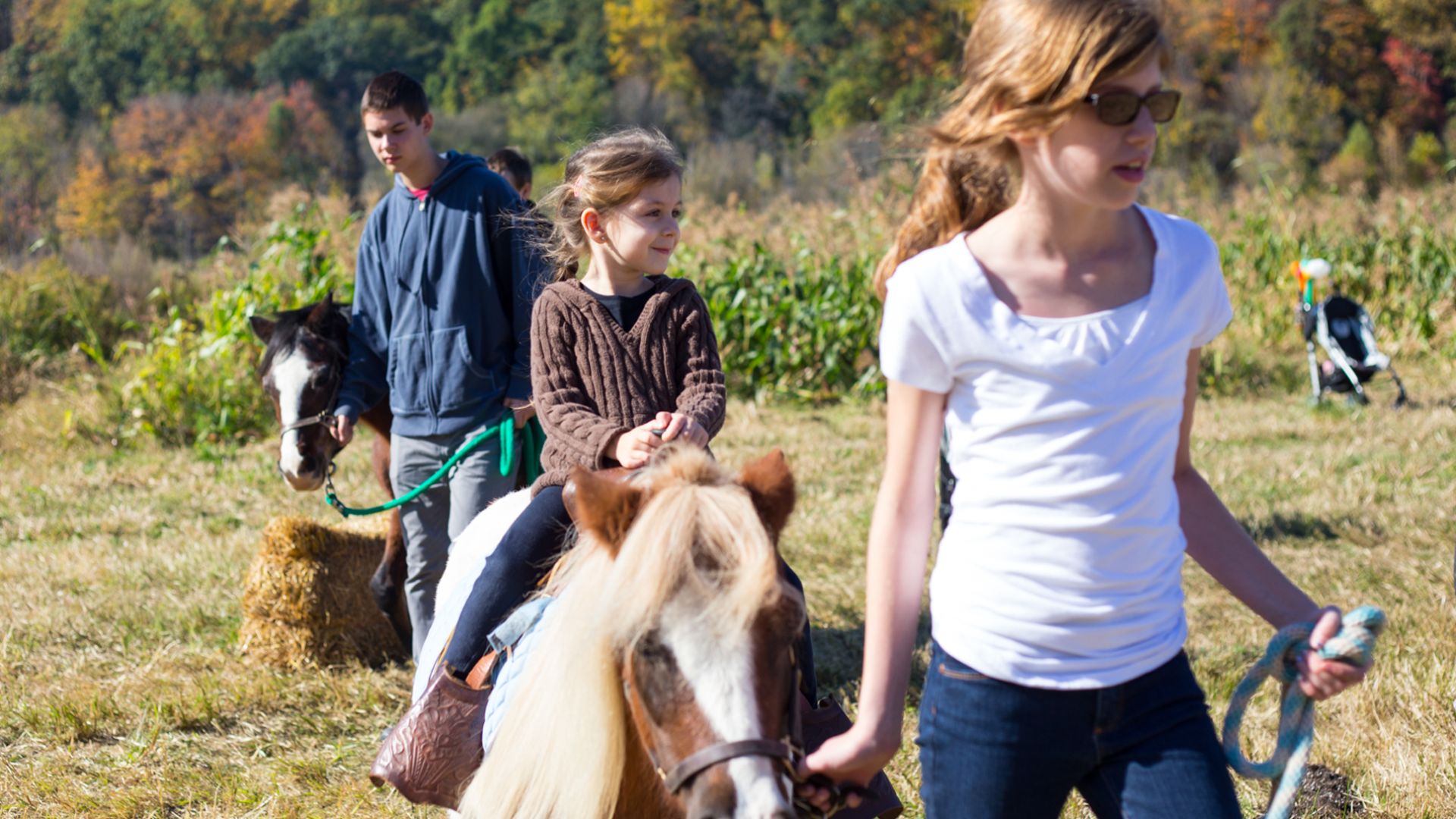 Girl riding a pony in Fall.