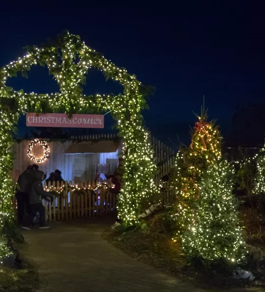 Christmas corner entrance with lights