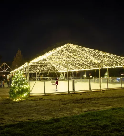 Glice skating rink lit up at night.