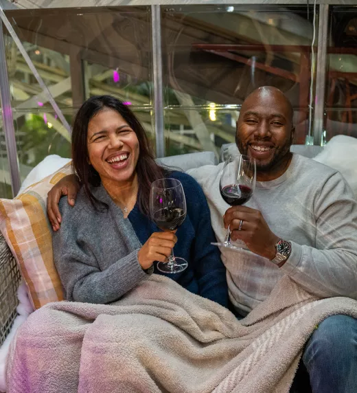 Couple with a blanket over their laps drinking red wine.
