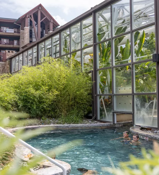 Biosphere Indoor/outdoor pool at Grand Cascades Lodge.